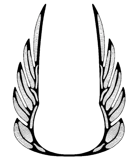 Ego